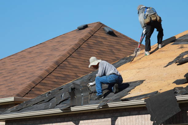 Professional  Roofing repair and installation in Macarthur, WV